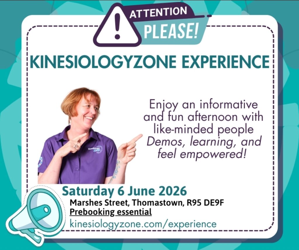 Kinesiologyzone Experience